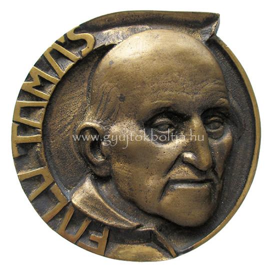 Falu Tams /jogsz, klt s regnyr/ plakett